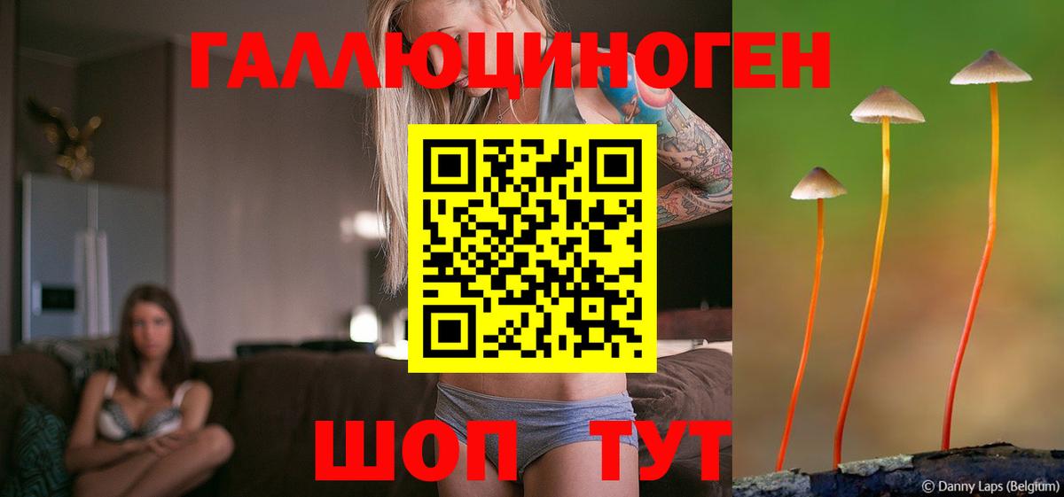 Галлюциногенные грибы Psilocybe Ступино